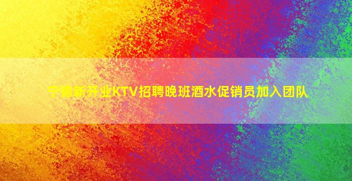 宁德新开业KTV招聘晚班酒水促销员加入团队
